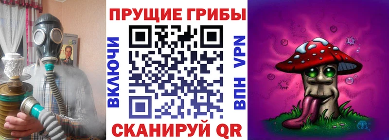Галлюциногенные грибы Cubensis  наркотики  Ивдель 
